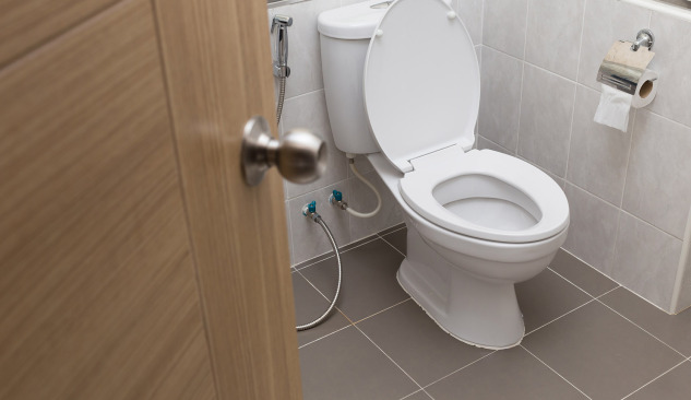 Wie trifft man die richtige Wahl - WC-Komplettanlage?