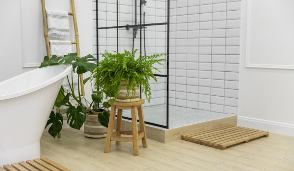 Blumen für das Badezimmer — welche Arten wählen?